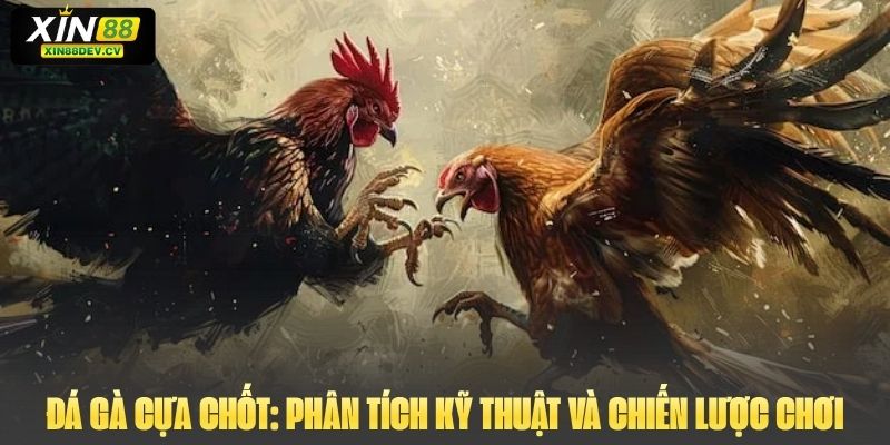 Đá Gà Cựa Chốt: Phân Tích Kỹ Thuật Và Chiến Lược Chơi