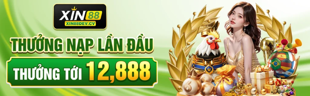 banner-xin88dev.cv