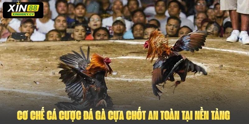 Cơ chế cá cược đá gà cựa chốt an toàn tại nền tảng 