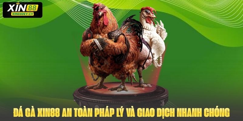 Đá gà Xin88 an toàn pháp lý và giao dịch nhanh chóng