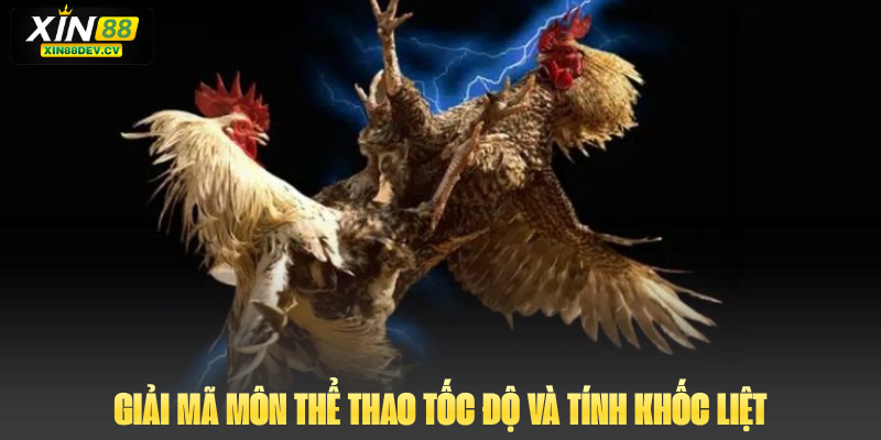 Giải mã môn thể thao tốc độ và tính khốc liệt