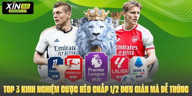 Top 3 kinh nghiệm cược kèo chấp 1/2 đơn giản mà dễ trúng