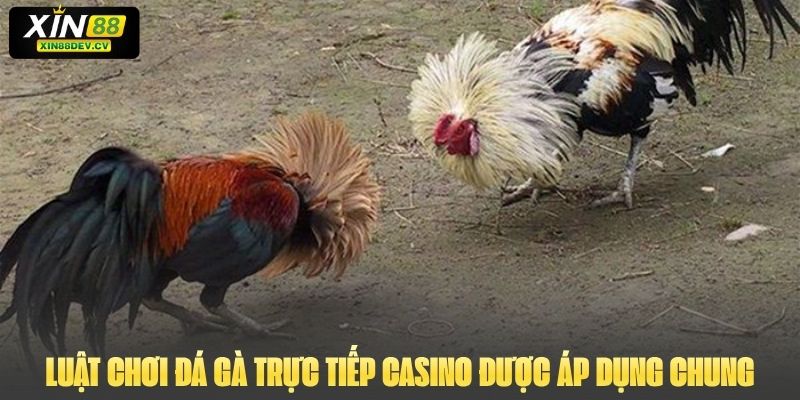 Luật chơi đá gà trực tiếp Casino được áp dụng chung